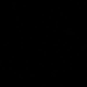 Meet your Posher, Lorin